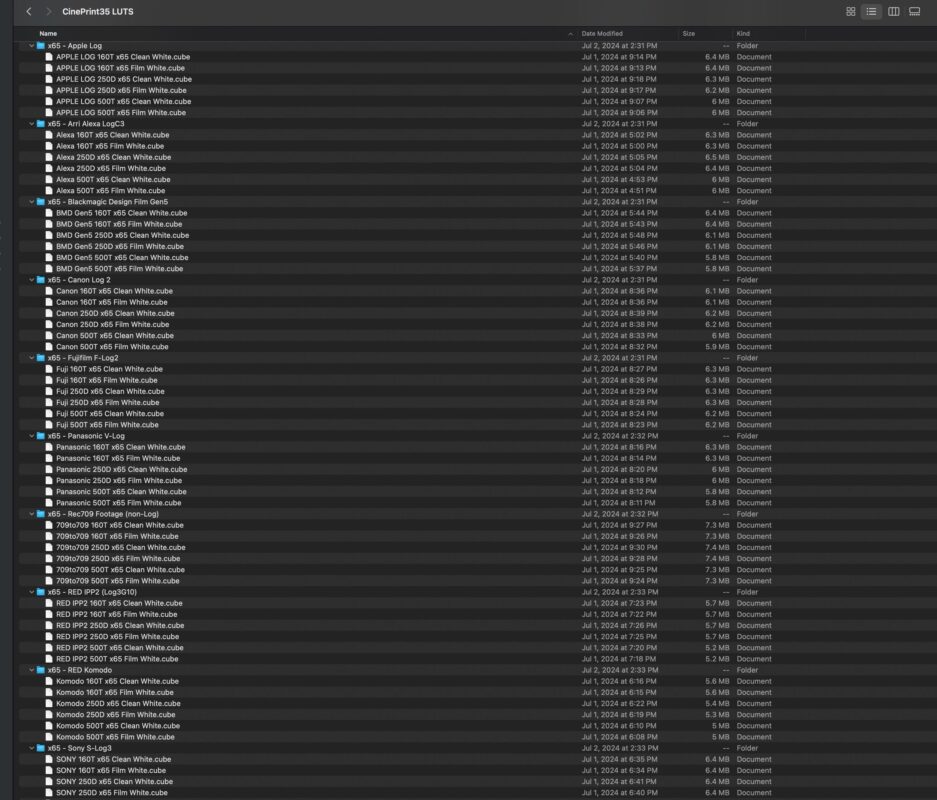 CinePrint35 Film Emulation LUTs