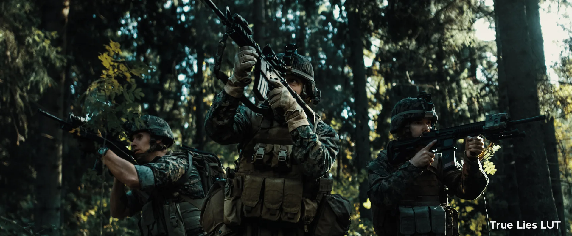 Action Film LUTs