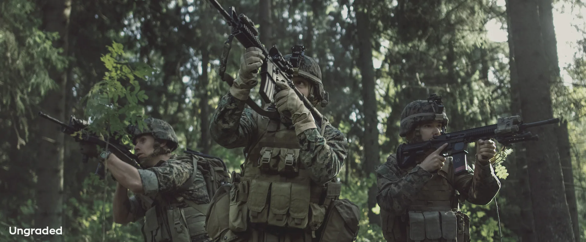 Action Film LUTs