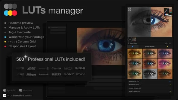 LUTs Manager Real Time Bulk Previews Tool and 500 LUTs for Effortless Professional Color Grading