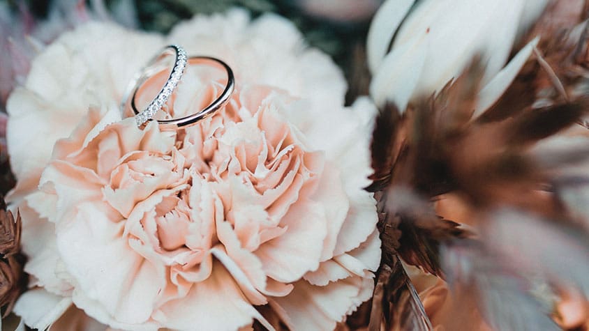 25 Professional LUTs for Wedding Videos MLUT Film